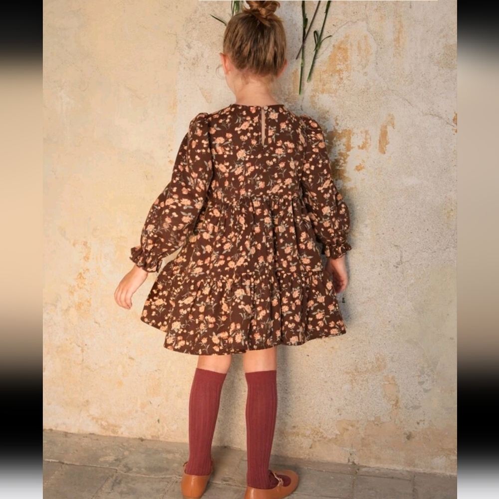 Little Girl Ditsy Floral Long sleeves Dress - Picture 3 of 9